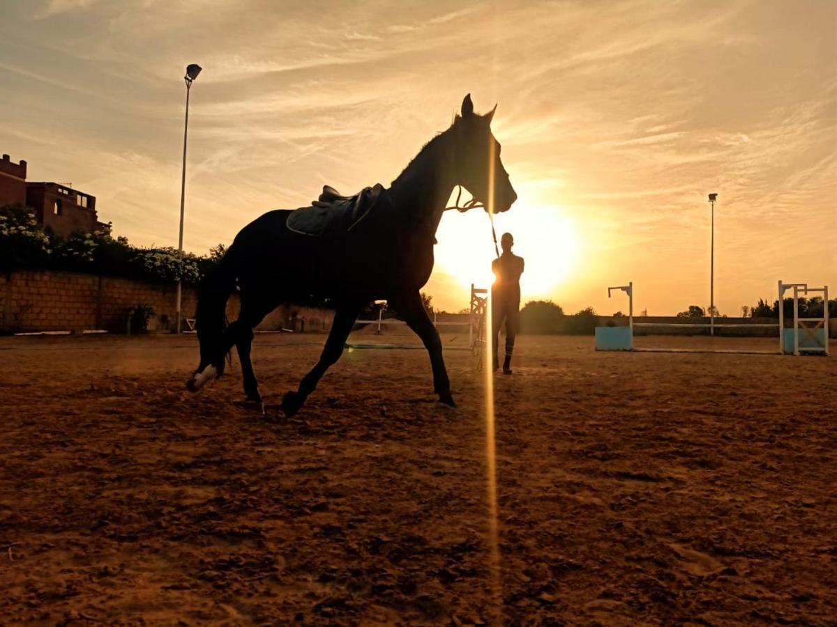 Equi Palace&spa Near Aeroport Hotel 4*