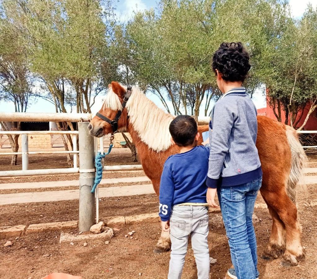 Equi Palace&spa Near Aeroport 4*