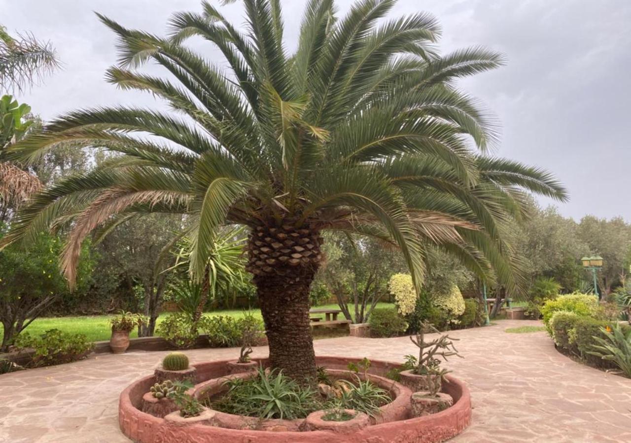 Equi Palace & Near Aeroport Hotel 4*
